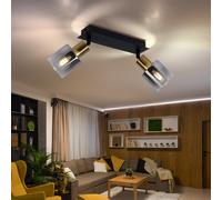 Plafonnier spot à 2 flammes, plafonnier orientable couleur fumée, or noir, 2x douilles E14, LxlxH 25x8x18,2 cm