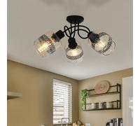Plafonnier Lampe Spot Plafonnier Ambre Lampe de Salon Fleurs de Vie Noir