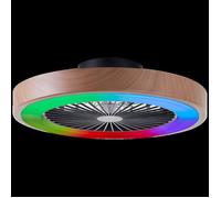 Plafonnier LED avec ventilateur SLIMLINE nature/noir plastique/métal DIA. 49cm