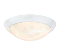 Plafonnier LED Eclairage 15 W Lampe Variable 3000 K Blanc Satiné Westinghouse