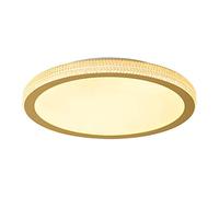 Plafonnier LED encastré 15,7 pouces, luminaire rond plat à intensité variable for couloir de chambre - Fer acrylique moderne blanc(D,19.7In)
