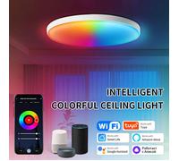 Plafonnier LED intelligent de 30 cm, 2 700-6 500 K, 16 millions de couleurs personnalisables, éclairage LED pour chambre