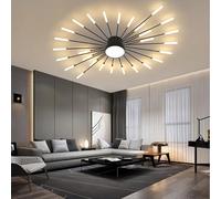 .Plafonnier LED moderne à intensité variable Conception créative de fleurs en spirale Métal et acrylique Changement de couleur Luminaire encastré Éclairage domestique élégant (Noir 28+1)