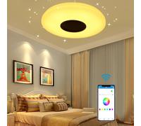 Plafonnier LED moderne Bluetooth Musique Haut-parleur RGB APP Télécommande Lampe - RGB 220V