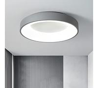 Plafonnier LED Moderne Style Europe du Nord à intensité Variable pour Chambre à Coucher, Salle de Bain, Cuisine, hôtel, Gris 110 V-120 V, télécommande, intensité Variable en contin
