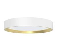 Philips Plafonnier Hanno SceneSwitch rond 24W 2700 lm 2700K blanc IP20