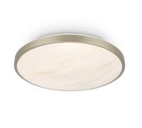 Plafonnier LED plafonnier panneau décoratif 17,5W 2400lm couloir 33cm nickel mat