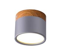 Plafonnier Led,Plafonnier Plafonniers de plafond de plafond de fer moderne pour salle de séjour Chambre à coucher enfants Chambre d'enfants Corridor Spot Light Home Fixture(Light Grey,NEUTRAL LIGHT_7W