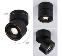 Paulmann 93371 Spircle Luminaire LED pour montage en surface LED LED intégrée 8 W noir (mat)