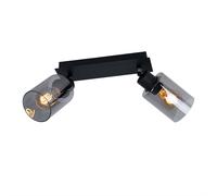 Plafonnier LED Spot filament Plafonnier salle à manger verre fumé 2 flammes orientables, métal, 2x 6W 806Lm blanc chaud, LxlxH 27x9x21,5 cm