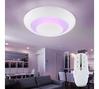 Plafonnier Luminaire de Cuisine Changement Couleur Minuteur Télécommande D 50 CM