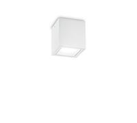Plafonnier Luminaire Extérieur Moderne Design Blanc Jardin Véranda DL1649