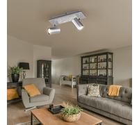 Plafonnier Luminaire Sportif Lampe de Salon Argent Projecteur Pivotant