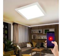 Plafonnier Panneau LED Smart Dimmable Tdc Minuteur Gouvernable pour App