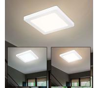 Plafonnier Panneau Lumière Du Jour Lampe de Chambre Blanc 1 à Flammes LED Tdc