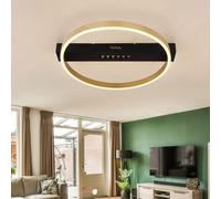 Plafonnier plafonnier LED lampe de salon couleur or interrupteur pas à pas 24W