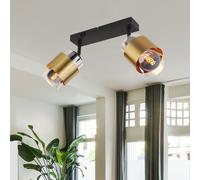 Globo Lighting Milley plafonnier 2x40 W noir-laiton-fumé 15560-2
