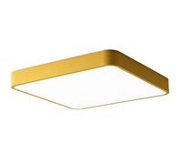 Plafonnier rectangulaire élégant, Style Nordique, Ultra Fin, idéal pour Une Cuisine, Un Salon ou Une Salle à Manger, avec Une température de Couleur de 3 000 K/4 000 K/6 000 K au Choix.