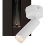 Plafonnier Spot, Projecteurs de Plafond Industriels à Faisceau Étroit 8°, Lampes pour Tableaux de 65/100/200 mm pour Mur, Spot à Montage en Surface pour Images, Cadres et Miro Warm light White 200 mm