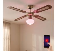 Plafonnier Ventilateur de Plafond Lampe Smart Accueil Mémoire Minuteur Anti