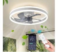 Plafonnier ventilateur LED 40cm avec lumière & télécommande - 6 vitesses , minuterie intelligente, APP contrôle, pour chambre