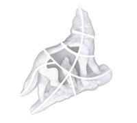 PLAFOPE Moule Silicone Flexible Loup Réaliste pour Résine Époxy Décorative DIY Ornement Forêt