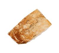 PLAFOPE Spécimen Paléontologique de Poisson Wolf Fish Spécimen Pédagogique Marin Décoration Scientifique Éducative Rare pour Collection et Enseignement