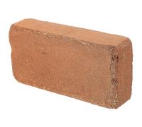 PLAFOPE Terreau Expansif Organique en Brique Compressée 650G pour Plantes Succulentes et Cactus d'Intérieur Fibre Végétale Naturelle Sol pour Semis et Rempotage de Fleurs