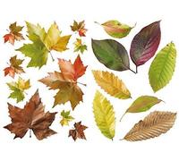 Plage 157011 Lot De 2 Planches De Stickers Muraux Motif Feuilles D'automne 29,7 Cm X 21 Cm