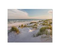 Plage de Sable Blanc de Dueodde sur Bornholm，1000 Pièces Puzzle pour Adultes Enfants Adolescents, Intelligence Soulagement du Stress Divertissement Papier Jouets Bricolage Anniversaire（38x26cm）-AE15