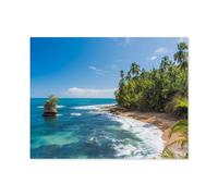 Plage des Caraïbes de Manzanillo près de Puerto Viejo, Costa Rica，Puzzle 1000 Pièces Ensembles De Puzzle pour La Famille Jeux Éducatifs Cadeau Intéressant-P60