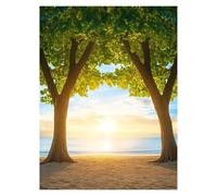 Plage Peinture Numero Adulte Paysage Kit Peinture par Numero Adulte 30x40Cm, Activité Manuelle Enfant Canvas Painting, Paint by Numbers avec Acrylic Paint et pinceaux pour Decoration Maison LSJ-6986