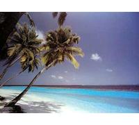 Plages Beaches - of Dreams - Impression d'affiches - Taille 91,5x61 cm