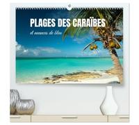 Plages des Caraïbes et nuances de bleu (Calendrier mural haut de gamme 2027 DIN A2 vertical), CALVENDO calendrier mensuel: Des lieux pour régénérer l'esprit