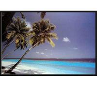 Plages - Poster - of Dreams + cadre amovible, Shinsuke® Maxi plastique noir, vitre acrylique