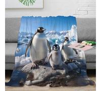 Plaid Animalier 3D imprimé Pingouin Microfibre décoration intérieure Couverture jetée Pingouin Adulte canapé Chambre Cadeau 70×80(180x200cm)