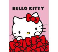 Plaid - AYMAX - Hello Kitty - 130x160 cm - Rose - Réversible - Flanelle