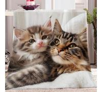 Plaid Couverture Flanelle 70 x 100 cm, Coloré Couverture Douce Et Chaude pour Lit ou Canapé Salon - Chaton Mignon Imprimé Anti-Pilling Hypoallergénique Plaid pour Filles et garçons