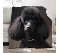 Plaid Couverture Polaire Flanelle, Jeté de Canapé 180x200 cm Motif Caniche Animal Couverture lit 2 Personnes Grand Chaud et Doux en Flanelle pour Toutes Les Saisons, Noir