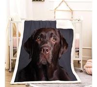 Plaid Couverture Polaire Labrador Brun 3D Mignon Animal De Compagnie Douce Chaude Microfibre ete Hiver Couverture en Flanelle 150x200 pour Jeté de Canapé, Dessus de lit pour Enfant Fille Garcon