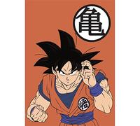 Plaid Dragon Ball Z