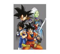 Plaid - Dragonball Z - 100x140 cm - 100% Polyester - Gris - Doux et Chaud