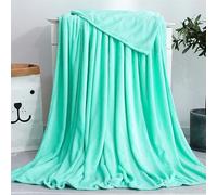 Plaid en Polaire Uni Couverture en Microfibre Douce, Couverture de Lit Fausse Fourrure Double Face Plaid Jeté de Canapé Flanelle Ultra Doux et Chaud Pour Adultes, Enfants,Blue green,120x200cm