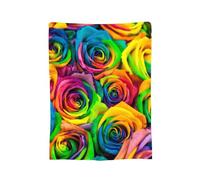 Plaid Lit Roses Rainbow Colorée Moelleux Jeté en Flanelle Léger Couverture Polaire pour Chaises Lits Divans M