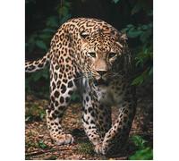 Plaid - NO NAME - Leopard - 120 x 150 cm - Synthétique - Rectangulaire - Multicolore