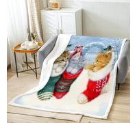 Plaid Noel Polaire Sherpa 160x200cm Chat Couverture Canape Grande Taille, Chaussette Flanelle Couverture Lit 2 Personnes Chaude et épaisse Hiver Conception D'ourlet