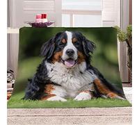 Plaid Polaire 150 x 200 cm Le Noir, Bouvier Bernois Suisse Plaide Douce en Microfibre Flanelle Couverture lit 2 Personnes 3D Impression Couverture Adulte Enfant pour Canape et Lit