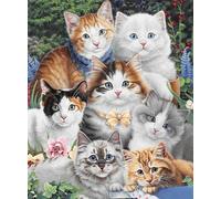 Plaid Polaire 220x240 Chat Couverture Polaire, Animal de Compagnie Flanelle Epaisse Plaid Canape, Doux Grand Plaid Chaud, Microfibre Couverture Lit 2 Personnes, Couverture Plaid pour Les Adultes