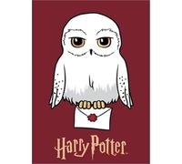 Plaid Polaire Harry Potter 100 X 140 Cm (Plaid Harry Potter hipou)
