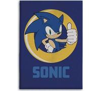 Plaid Polaire Sonic 100 X 140 Cm (Plaid Polaire Sonic)